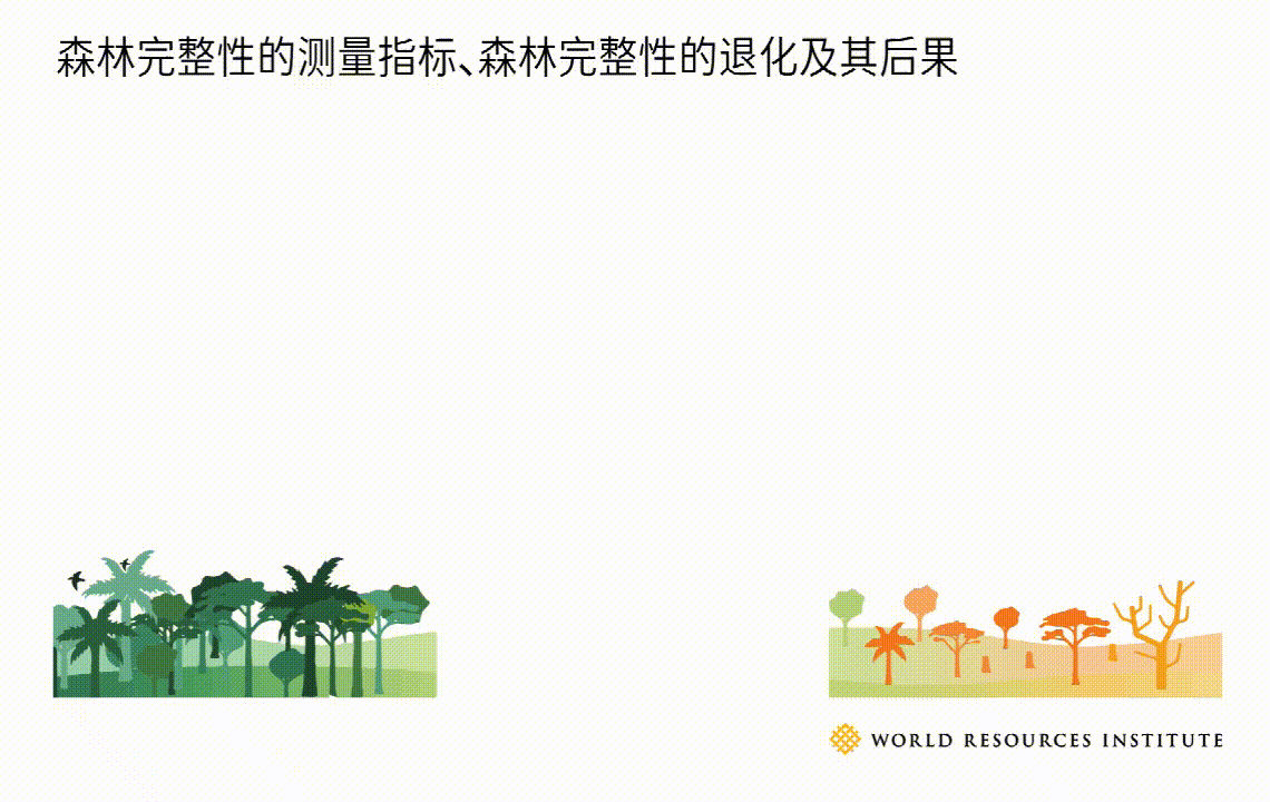 森林完整性