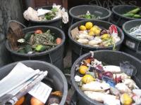 Food in trash bins