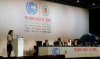 COP22
