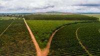 Global Forest Watch