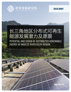 Issue brief cover