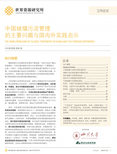 cover of working paper