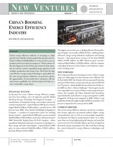 China's Booming Energy Efficiency Industry