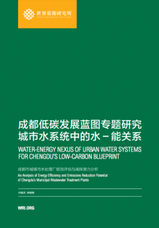 Cover of Case Study