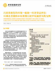 Cover photo WRI China working paper