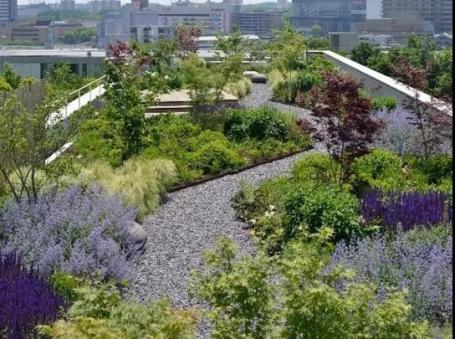 Green roof