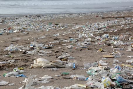 Plastic waste on beach
