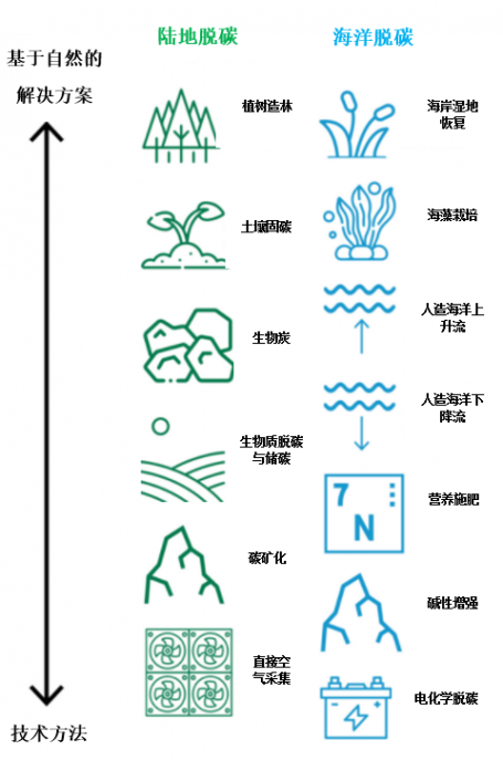 脱碳方法