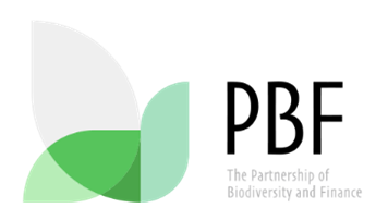 PBF LOGO