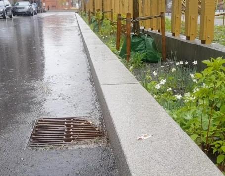 雨水通过进水口排水被引向带有生物碳土壤的植物床
