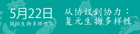 生物多样性日 中文