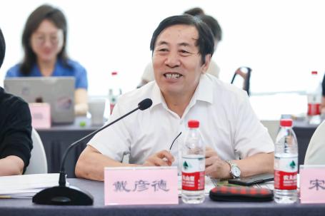 国家发展改革委能源研究所前所长戴彦德