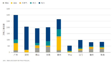 大湾区各城市制造业碳排放的主要来源（能源品种）