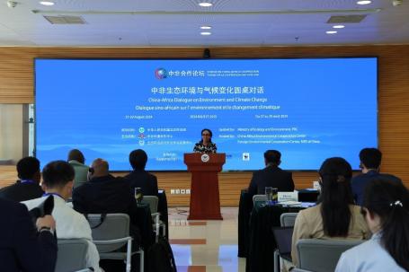 WRI非洲能源项目主任Meron Tesfamichael博士在活动开幕上发言