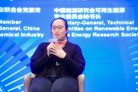 中国能源研究会可再生能源专业委员会秘书长李丹