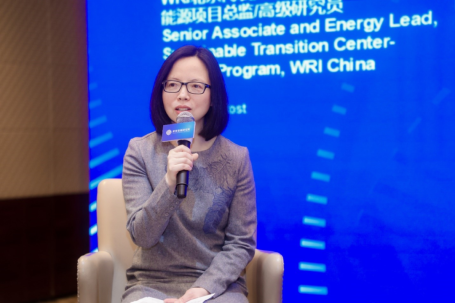 WRI北京代表处可持续转型中心能源项目总监/高级研究员袁敏