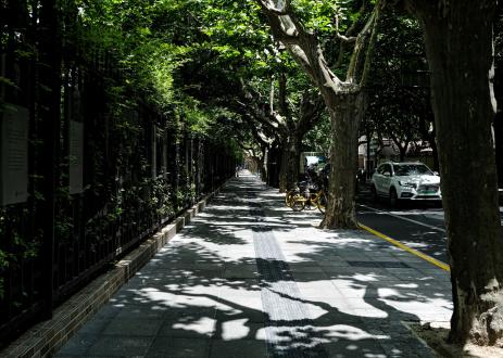 Sustainable Cities