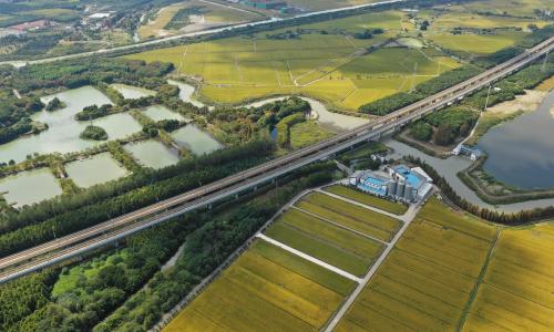 High speed train and natural wetland in China.
