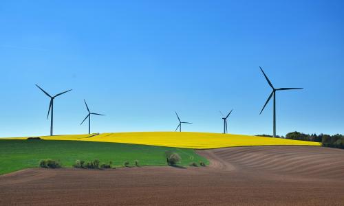 sustainable-development