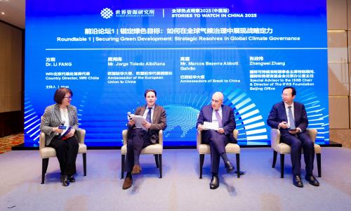 在WRI2025全球热点观察中国版前沿论坛上，WRI北京代表处首席代表方莉对话欧盟驻华大使庹尧诲、巴西驻华大使高望和国际可持续准则理事会主席特别顾问、国际财务报告基金会北京办公室主任张政伟