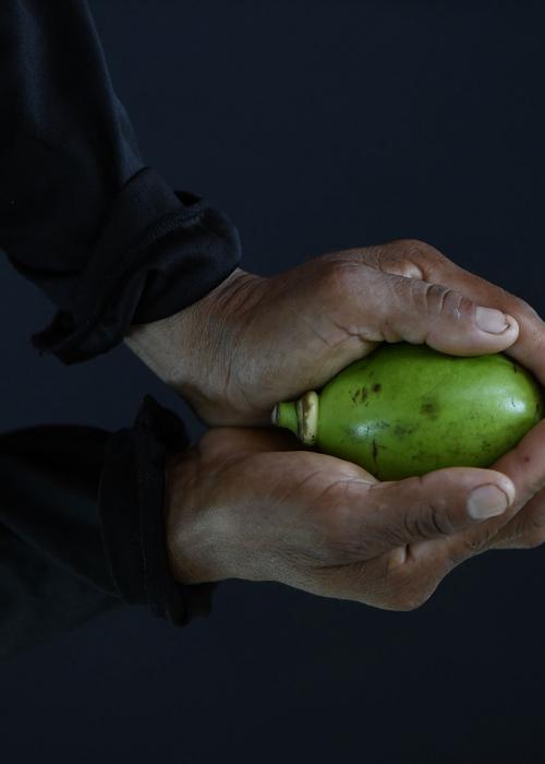 Woman holding a fruit.