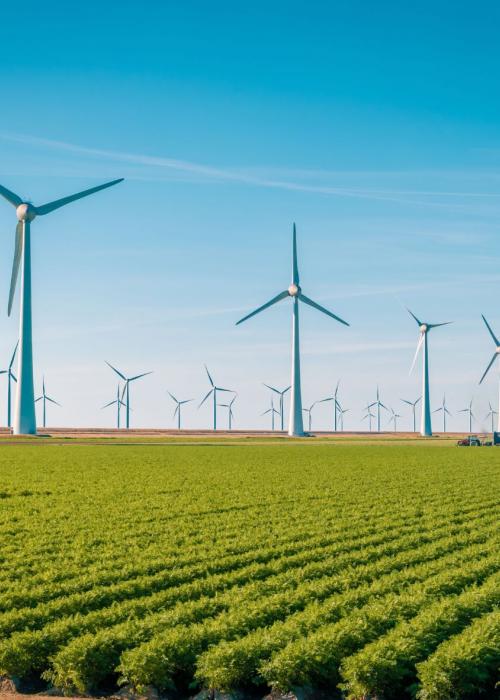Windmills in field